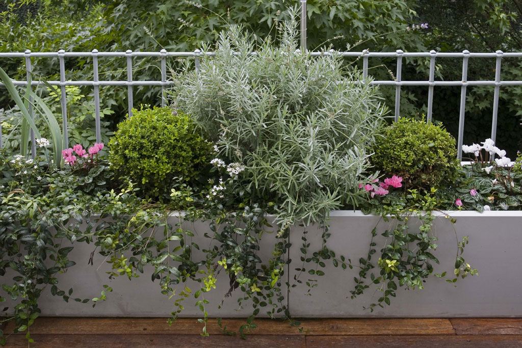 Va_terrazzo_09_c_web